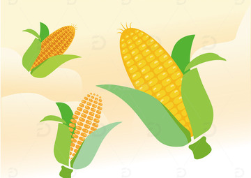 手绘玉米扁平卡通插画免扣png元素1