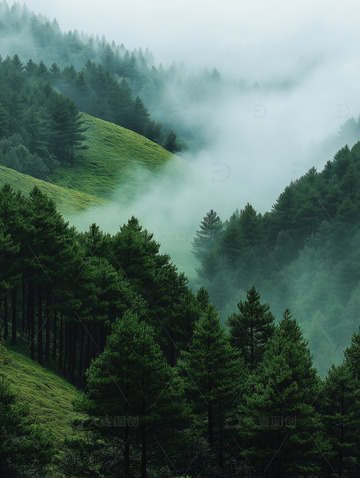 雾漫山林高山大自然氧气