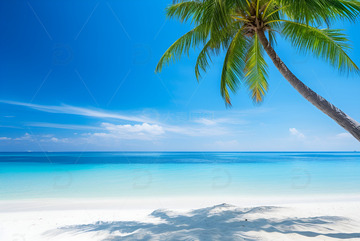 大海沙滩椰树自然美景