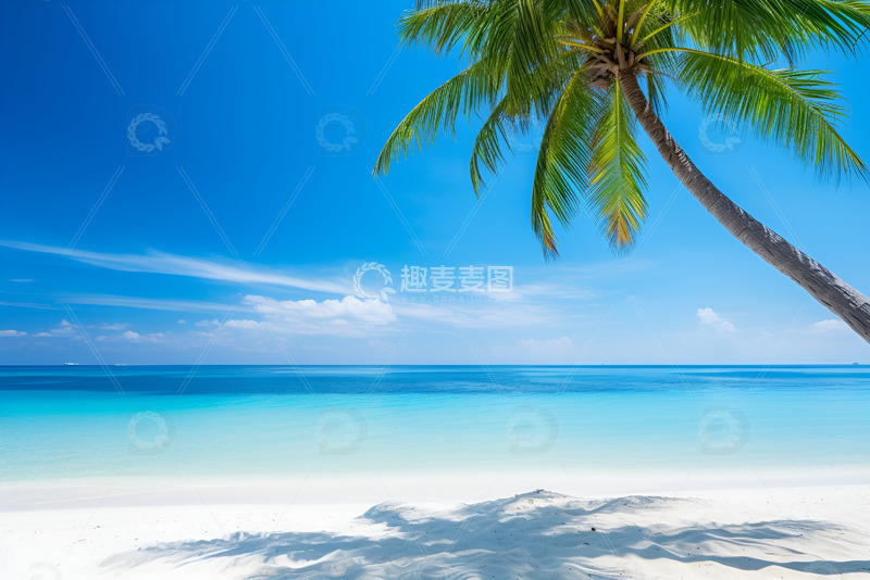 大海沙滩椰树自然美景