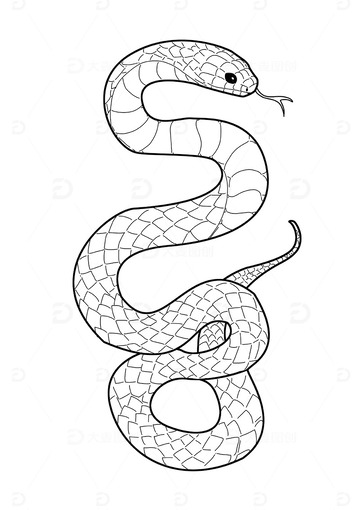 蛇2025手绘黑白描边插画纹理