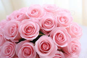 一束粉色的玫瑰花