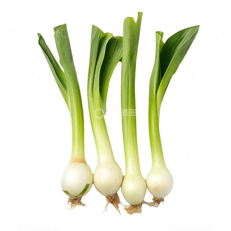 高清大图下载【趣麦麦图】蒜苗免抠元素图片