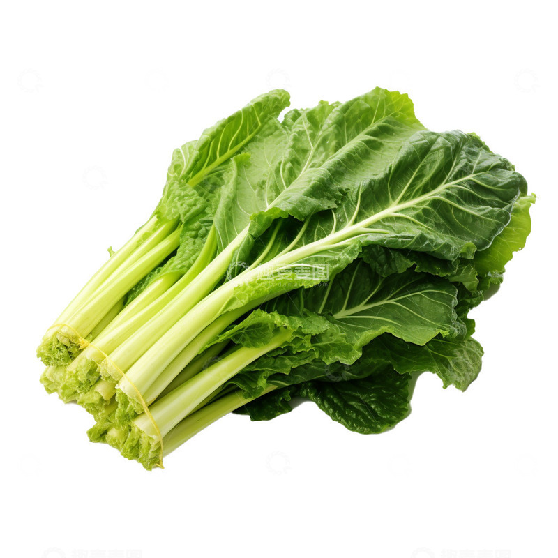 高清大图下载【趣麦麦图】芥菜免抠元素