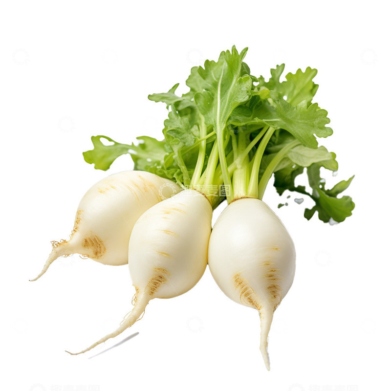 高清大图下载【趣麦麦图】三颗萝卜免抠摄影图