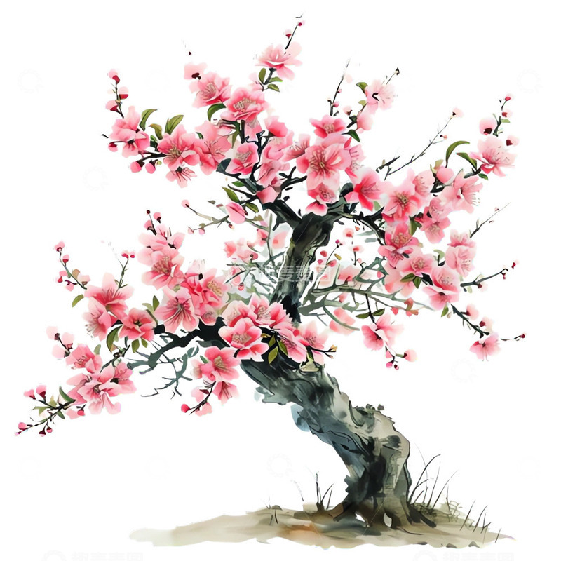 高清大图下载【趣麦麦图】国画风春天桃花