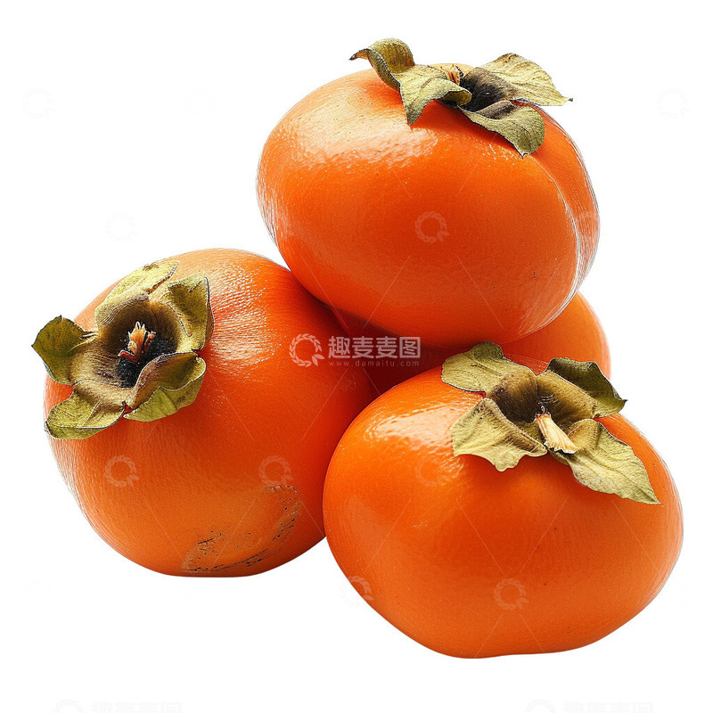 高清大图下载【趣麦麦图】柿子免扣插画