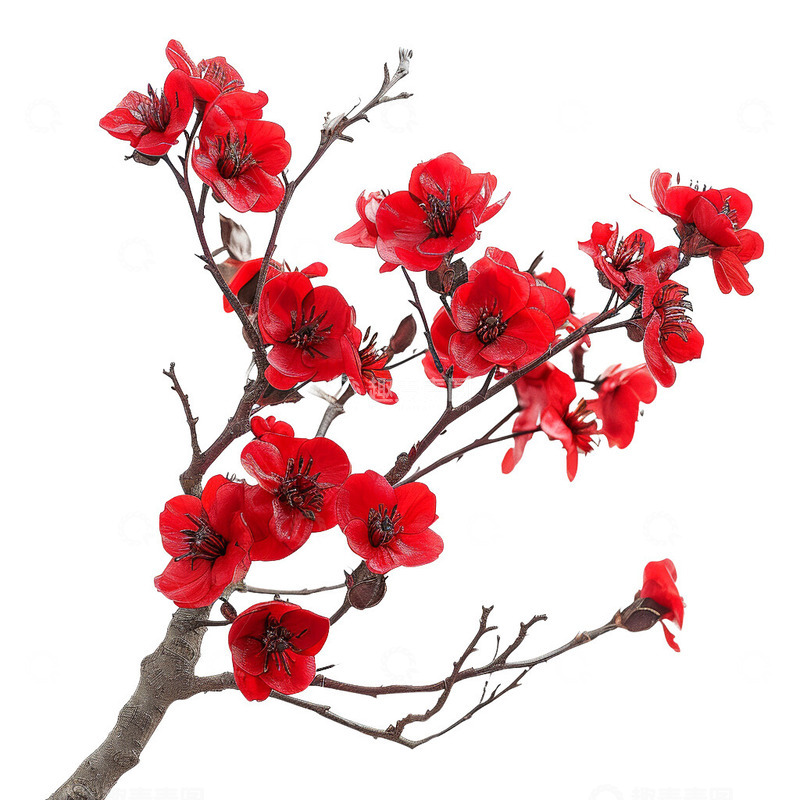 高清大图下载【趣麦麦图】红色的梅花免扣