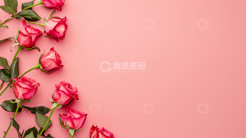 高清大图下载【趣麦麦图】爱情玫瑰背景