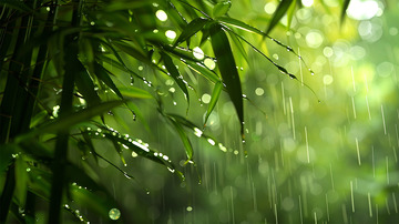 绿色清新谷雨下雨唯美场景背景