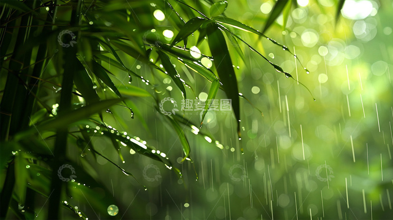 高清大图下载【趣麦麦图】绿色清新谷雨下雨唯美场景背景