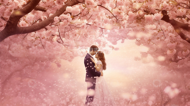 高清大图下载【趣麦麦图】情侣情人节粉色唯美梦幻场景