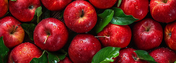 简约苹果 红富士海报背景素材