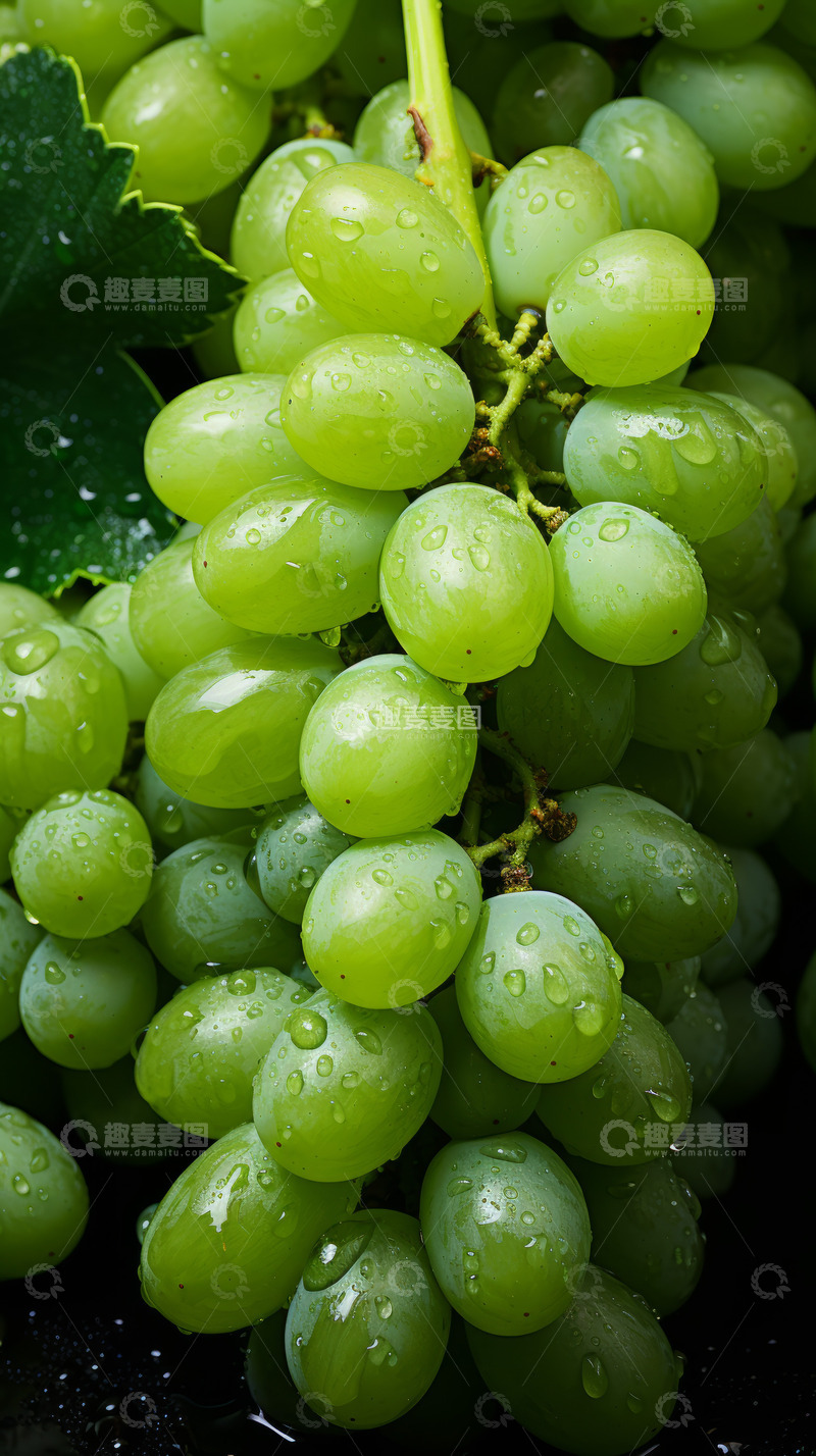 高清大图下载【趣麦麦图】青提葡萄素材