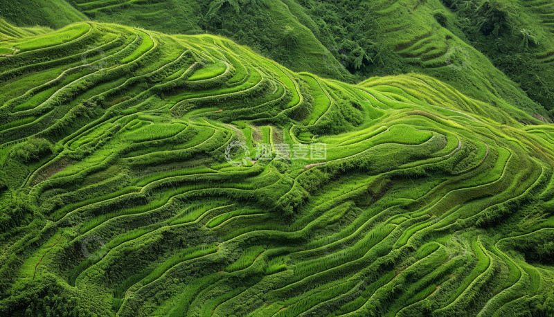 高清大图下载【趣麦麦图】落日下的梯田景观