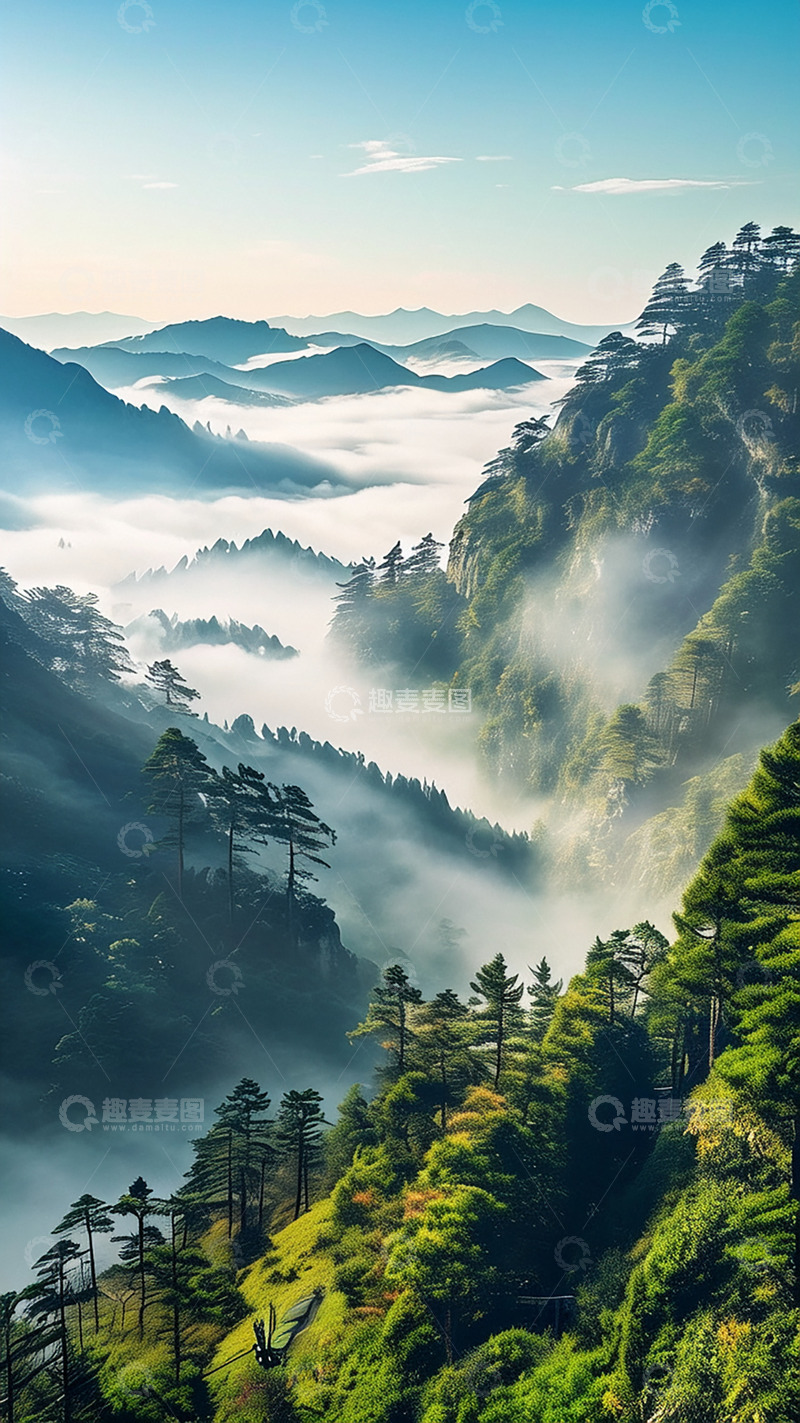 高清大图下载【趣麦麦图】茂密森林自然美景