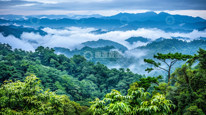 高清大图下载【趣麦麦图】山峦云雾植物森林绿色风景
