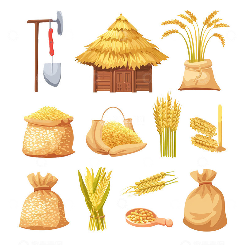 高清大图下载【趣麦麦图】五一丰收农作物
