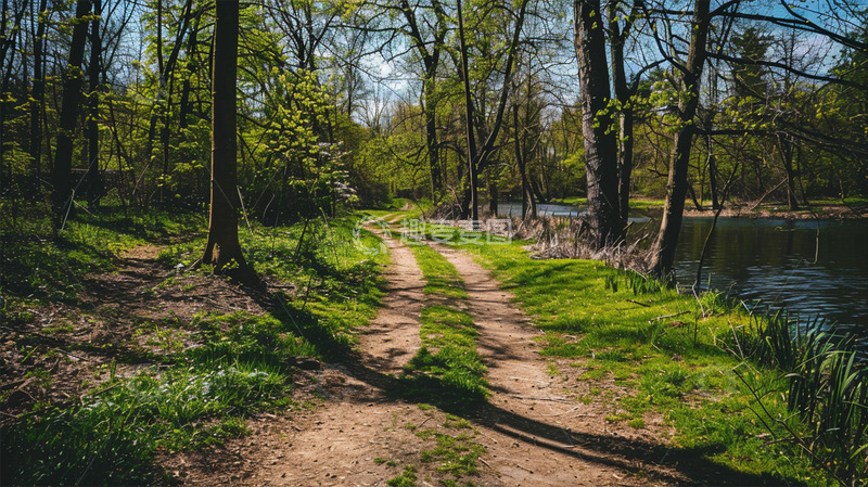高清大图下载【趣麦麦图】森林河边小路植物大树风景