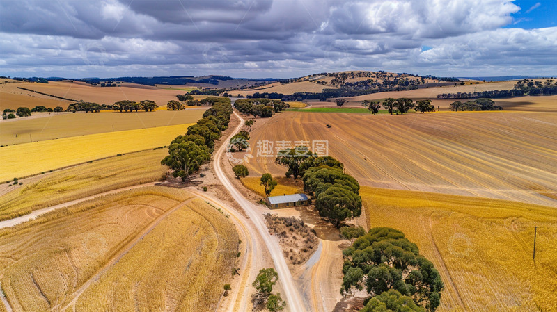 高清大图下载【趣麦麦图】秋天金黄秋收蓝天白云场景