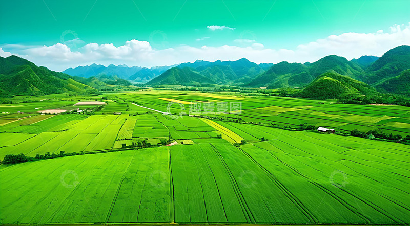 高清大图下载【趣麦麦图】稻田农业生产