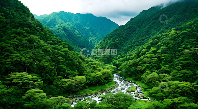 高清大图下载【趣麦麦图】山涧大山树林