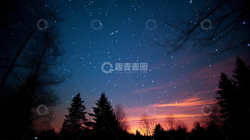 高清大图下载【趣麦麦图】星空夜晚落日植物大树唯美场景