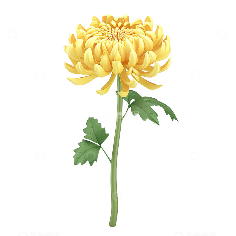 高清大图下载【趣麦麦图】立体黄色菊花