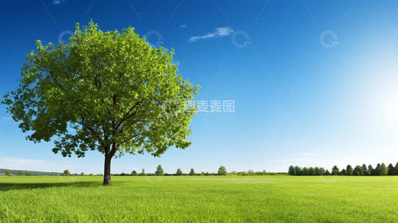 高清大图下载【趣麦麦图】大树草地蓝天绿色唯美场景