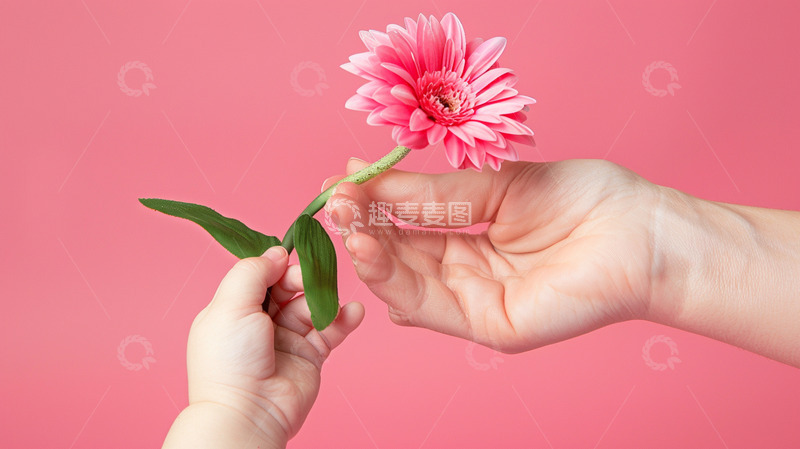 高清大图下载【趣麦麦图】红色花卉摄影侧面