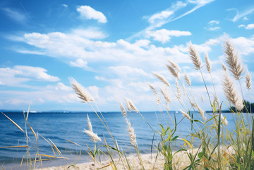 湖泊边摇曳的芦苇