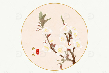 二月杏花植物花卉十二花令系列