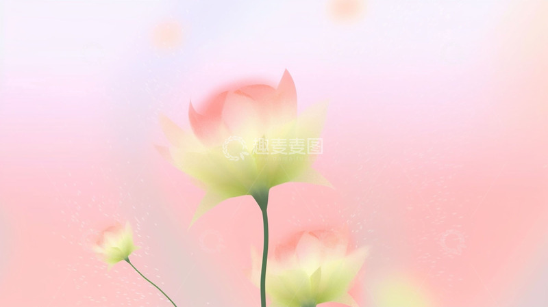 高清大图下载【趣麦麦图】渐变唯美虚幻花朵背景