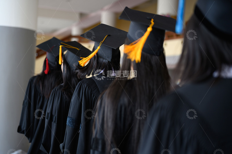 高清大图下载【趣麦麦图】身穿学士服排队的学生们