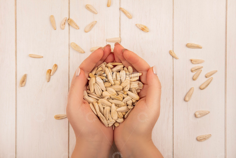 高清大图下载【趣麦麦图】手中捧着的白色瓜子