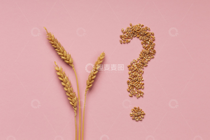 高清大图下载【趣麦麦图】麦穗与小麦麦粒