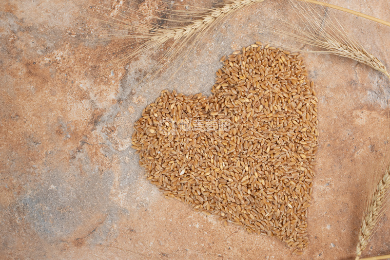 高清大图下载【趣麦麦图】秋收的麦子组成的爱心