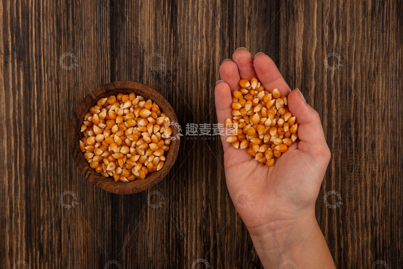 高清大图下载【趣麦麦图】手中与碗中的玉米粒