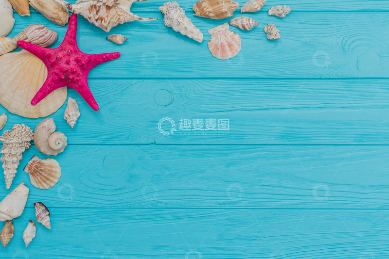高清大图下载【趣麦麦图】夏季与贝壳紫海星的构图