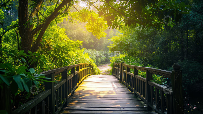 高清大图下载【趣麦麦图】公园里的林荫小道