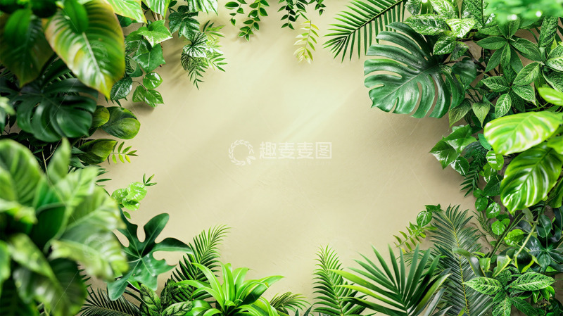 高清大图下载【趣麦麦图】热带植物边框清新自然壁纸