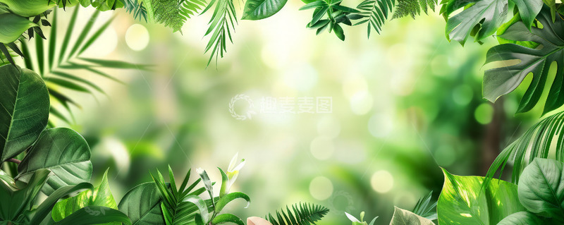 绿植海报背景
