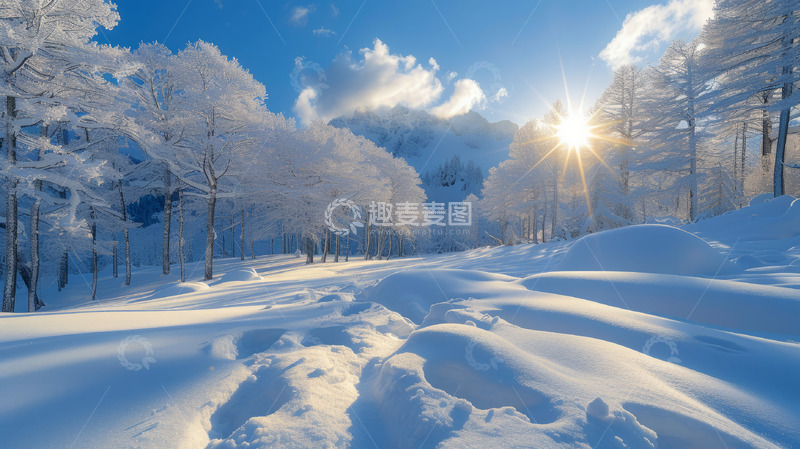 高清大图下载【趣麦麦图】白雪覆盖的树林