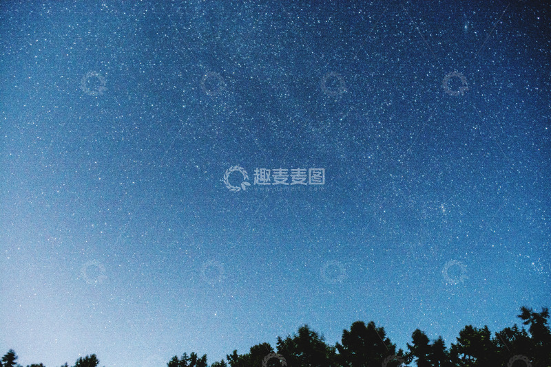高清大图下载【趣麦麦图】星空下的低角度树木