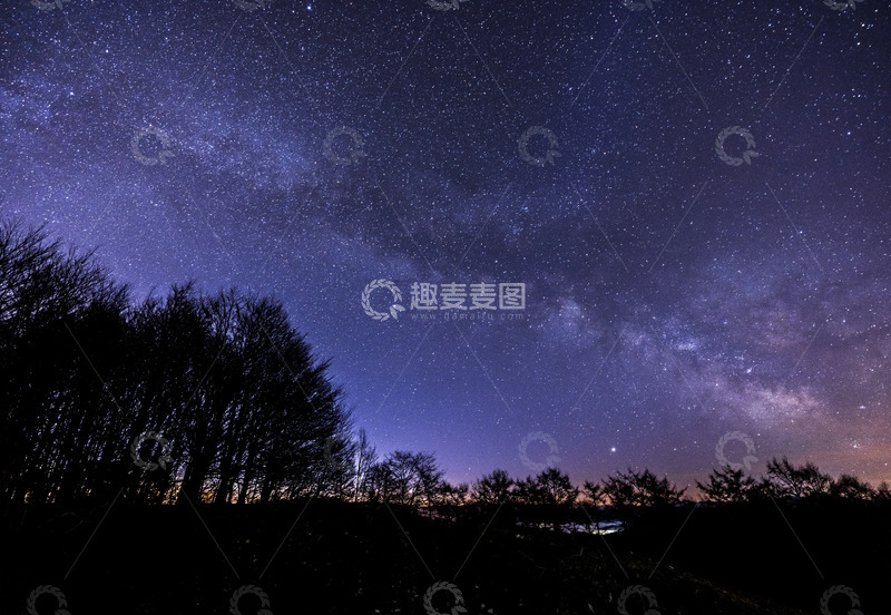 高清大图下载【趣麦麦图】银河森林之夜