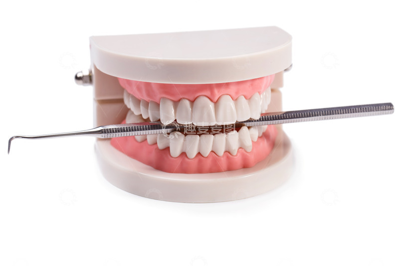 高清大图下载【趣麦麦图】全国爱牙日牙科钩针与牙齿模型