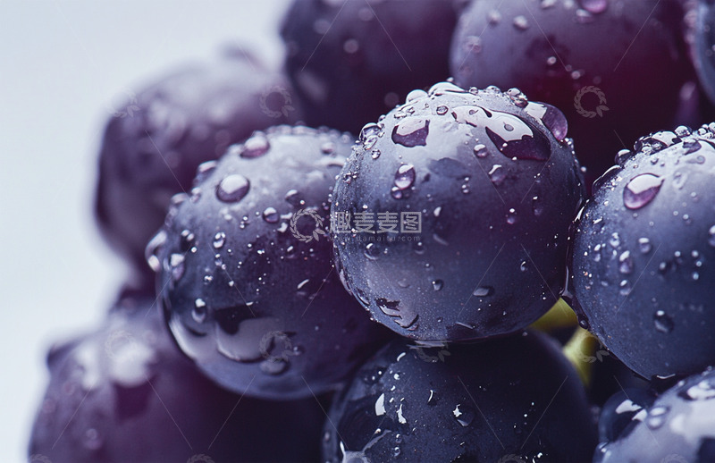 高清大图下载【趣麦麦图】满是露珠的紫色葡萄AI摄影图