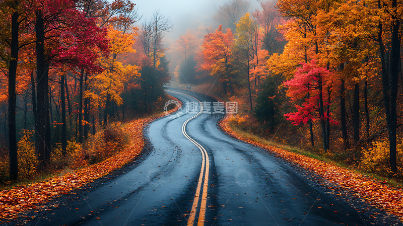 高清大图下载【趣麦麦图】秋季道路公路