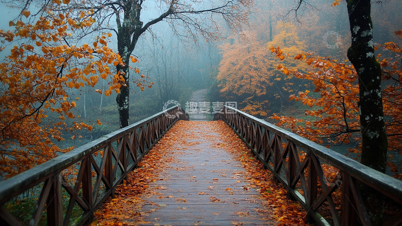 高清大图下载【趣麦麦图】秋天桥小桥风景
