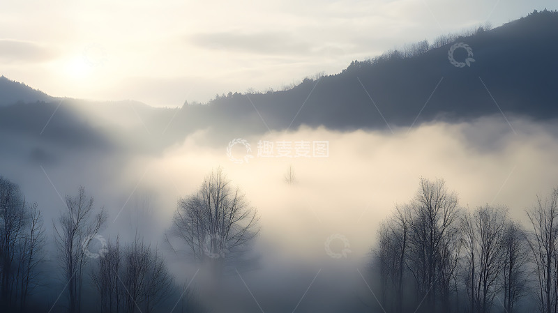 高清大图下载【趣麦麦图】晨雾森林树林